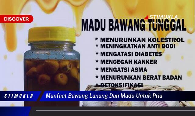 Ketahui 9 Manfaat Bawang Lanang dan Madu untuk Pria, Meningkatkan Vitalitas dan Kesehatan