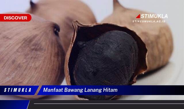 Ketahui 9 Manfaat Bawang Lanang Hitam untuk Kesehatan Tubuh