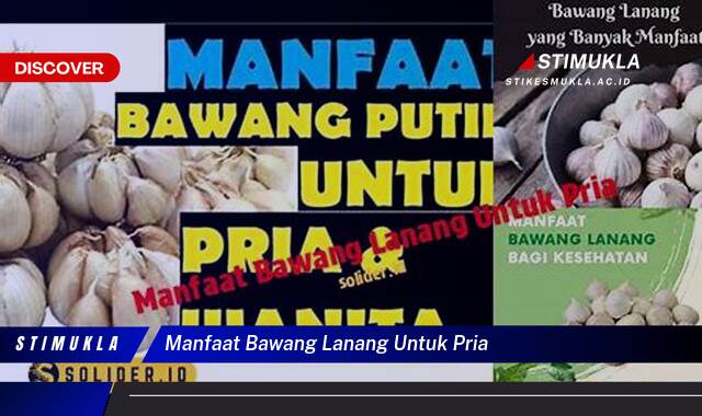 Ketahui 9 Manfaat Bawang Lanang untuk Pria, Meningkatkan Kesehatan dan Vitalitas