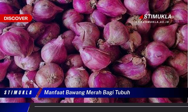 8 Manfaat Bawang Merah Bagi Tubuh, Meningkatkan Imunitas dan Kesehatan Jantung