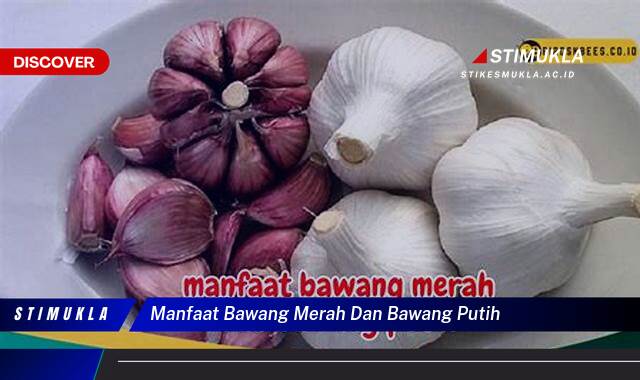 8 Manfaat manfaat bawang merah dan bawang putih Ungkap Rahasia Alami