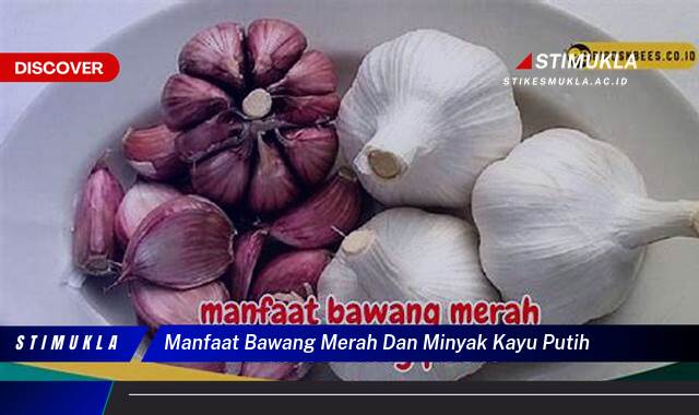 10 Manfaat manfaat bawang merah dan minyak kayu putih Redakan Pilek Lebih Cepat 10 Manfaat manfaat bawang merah dan minyak kayu putih Redakan Pilek Lebih Cepat