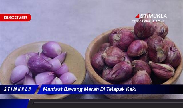 Ketahui 10 Manfaat Bawang Merah di Telapak Kaki untuk Kesehatan Anda