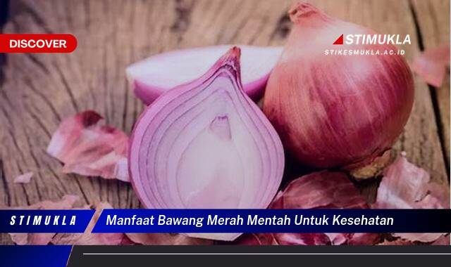 Ketahui 9 Manfaat Bawang Merah Mentah untuk Kesehatan, Meningkatkan Imunitas dan Menjaga Kesehatan Jantung