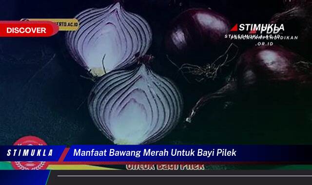 9 Manfaat Bawang Merah untuk Bayi Pilek Redakan Flu Secara Alami