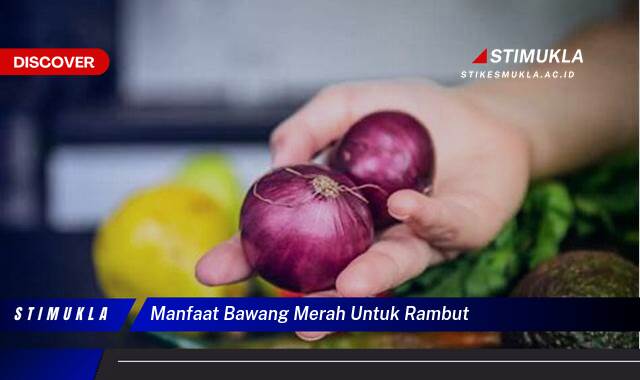 Ketahui 8 Manfaat Bawang Merah untuk Rambut, Tips dan Trik Ampuh untuk Mencegah Kerontokan dan Merangsang Pertumbuhan Ketahui 8 Manfaat Bawang Merah untuk Rambut, Tips dan Trik Ampuh untuk Mencegah Kerontokan dan Merangsang Pertumbuhan