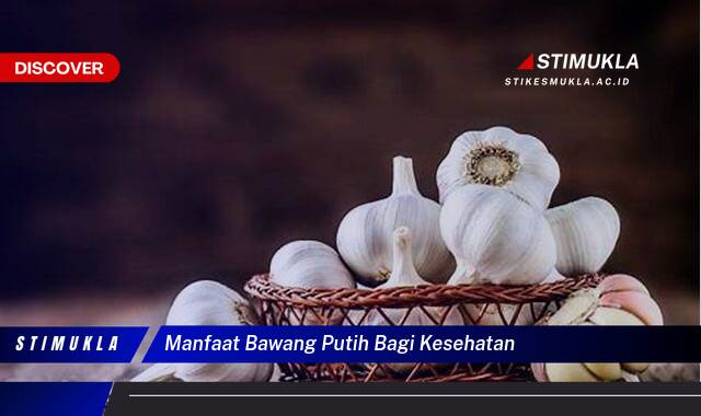 Ketahui 9 Manfaat Bawang Putih Bagi Kesehatan Tubuh Anda Secara Lengkap