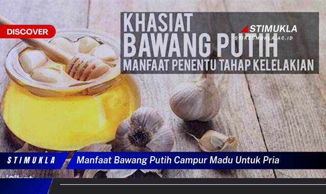 Ketahui 9 Manfaat Bawang Putih Campur Madu untuk Pria, Meningkatkan Kesehatan dan Vitalitas