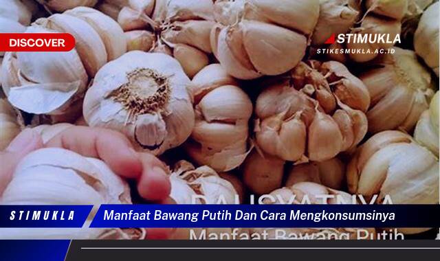 9 Manfaat manfaat bawang putih dan cara mengkonsumsinya Ampuh Tingkatkan Kesehatan Tubuh