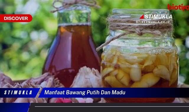 Ketahui 8 Manfaat Bawang Putih dan Madu untuk Kesehatan Anda