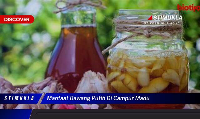 Inilah 9 Manfaat Bawang Putih di Campur Madu untuk Kesehatan, Kecantikan, dan Daya Tahan Tubuh