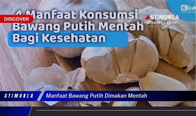 10 Manfaat Bawang Putih Dimakan Mentah untuk Imun Tubuh