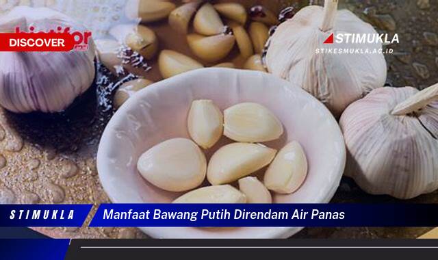 Ketahui 10 Manfaat Bawang Putih Direndam Air Panas untuk Kesehatan Anda