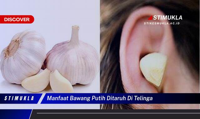 Ketahui 10 Manfaat Bawang Putih di Telinga, Mengatasi Sakit Telinga dan Infeksi Ketahui 10 Manfaat Bawang Putih di Telinga, Mengatasi Sakit Telinga dan Infeksi