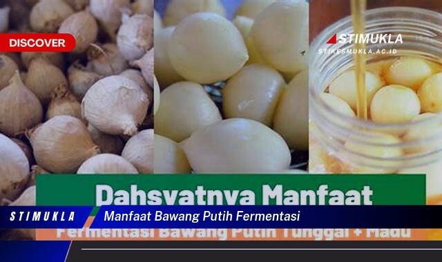 Ketahui 9 Manfaat Bawang Putih Fermentasi untuk Kesehatan Anda