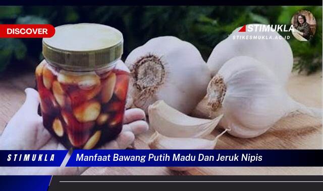 10 Manfaat Bawang Putih Madu dan Jeruk Nipis, Rahasia Sehat Alami