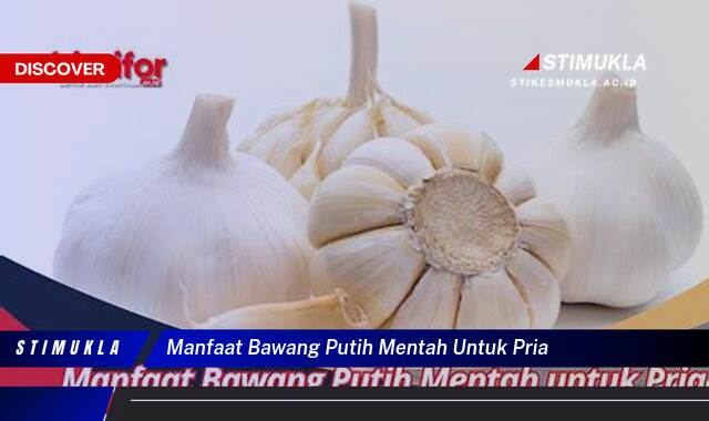 Temukan 9 Manfaat Bawang Putih Mentah untuk Pria, Stamina, Vitalitas, Kesehatan