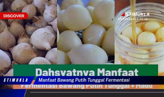 Ketahui 10 Manfaat Bawang Putih Tunggal Fermentasi untuk Kesehatan Anda