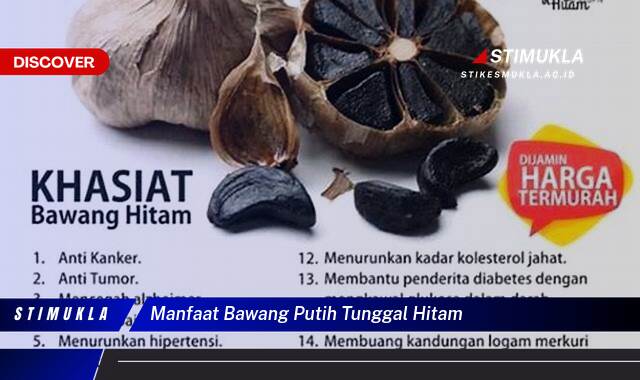 Ketahui 8 Manfaat Bawang Putih Tunggal Hitam untuk Kesehatan Anda