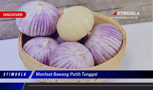 Ketahui 8 Manfaat Bawang Putih Tunggal untuk Kesehatan Anda