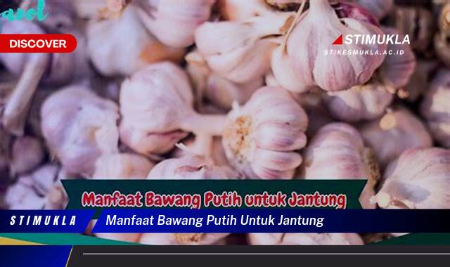 8 Manfaat Manfaat Bawang Putih untuk Jantung Sehat Alami Terbukti
