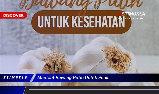 Inilah 9 Manfaat Bawang Putih untuk Mr P, Kuat, Perkasa, dan Tahan Lama Inilah 9 Manfaat Bawang Putih untuk Mr P, Kuat, Perkasa, dan Tahan Lama