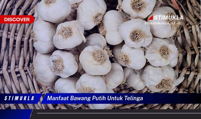 Ketahui 8 Manfaat Bawang Putih untuk Telinga, Redakan Sakit dan Infeksi Secara Alami