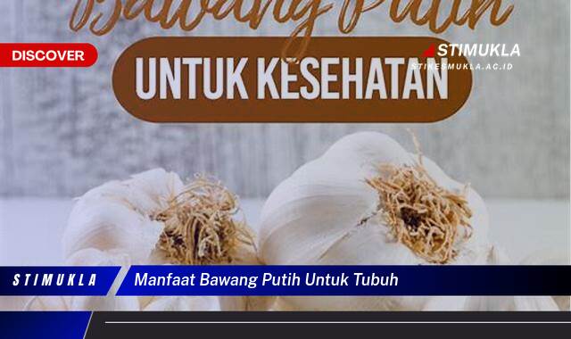 Temukan 8 Manfaat Bawang Putih untuk Tubuh, Kesehatan, Kecantikan & Daya Tahan