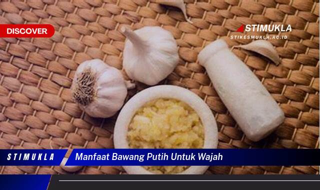 Ketahui 10 Manfaat Bawang Putih untuk Wajah, Tips dan Cara Penggunaan yang Efektif Ketahui 10 Manfaat Bawang Putih untuk Wajah, Tips dan Cara Penggunaan yang Efektif