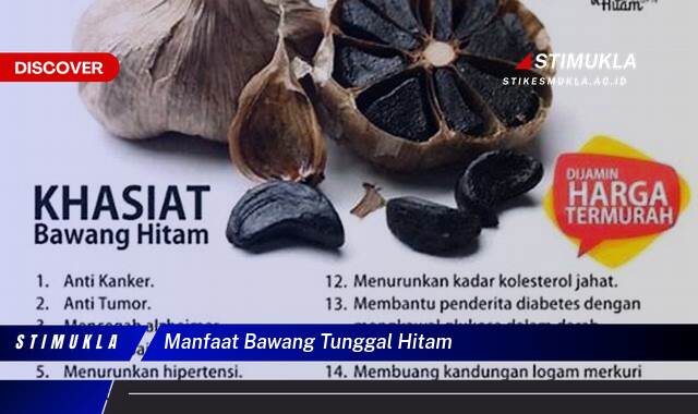 Ketahui 9 Manfaat Bawang Tunggal Hitam untuk Kesehatan Anda