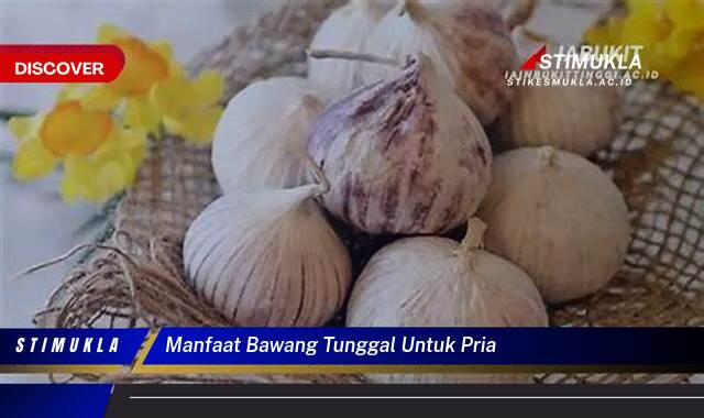 Inilah 9 Manfaat Bawang Tunggal untuk Pria, Stamina, Vitalitas, dan Kesuburan