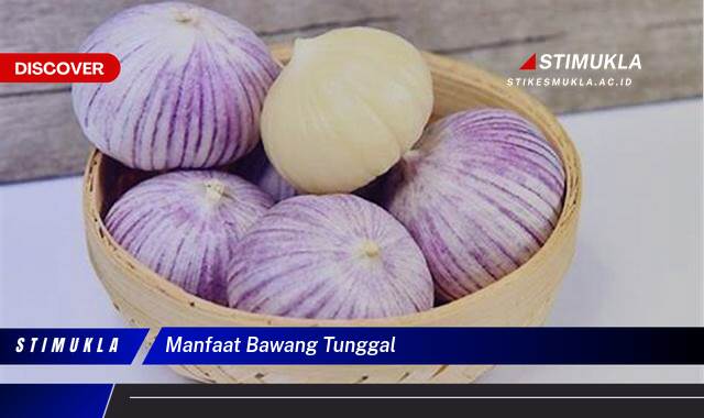 Ketahui 10 Manfaat Bawang Tunggal untuk Kesehatan Tubuh Anda Ketahui 10 Manfaat Bawang Tunggal untuk Kesehatan Tubuh Anda