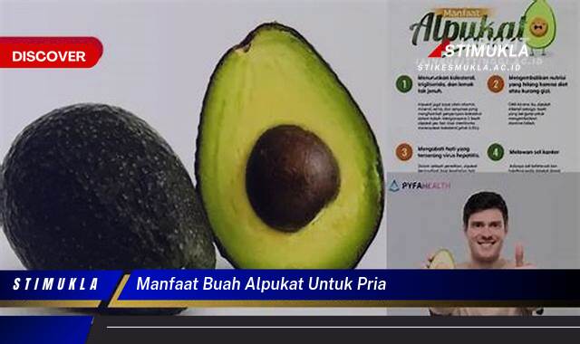 Ketahui 8 Manfaat Buah Alpukat untuk Pria, Meningkatkan Kesehatan dan Vitalitas