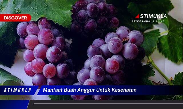 Ketahui 8 Manfaat Buah Anggur untuk Kesehatan Tubuh Anda Secara Lengkap