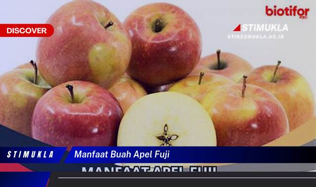 8 Manfaat manfaat buah apel fuji untuk kesehatan optimal