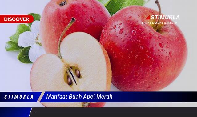 Ketahui 9 Manfaat Buah Apel Merah untuk Kesehatan dan Kecantikan Ketahui 9 Manfaat Buah Apel Merah untuk Kesehatan dan Kecantikan