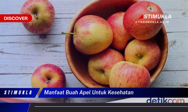 Ketahui 8 Manfaat Buah Apel untuk Kesehatan Tubuh Anda