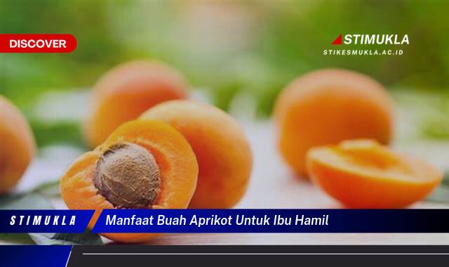 9 Manfaat manfaat buah aprikot untuk ibu hamil demi kehamilan sehat