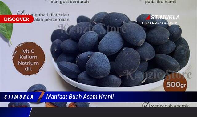Temukan 9 Manfaat Buah Asam Kranji untuk Kesehatan dan Kecantikan Kulit Temukan 9 Manfaat Buah Asam Kranji untuk Kesehatan dan Kecantikan Kulit