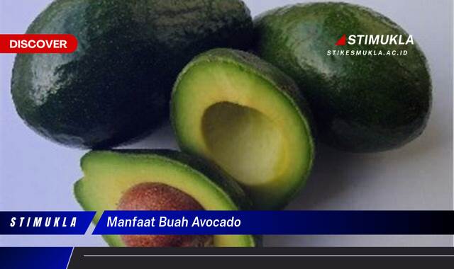 Inilah 8 Manfaat Buah Avocado untuk Kesehatan Tubuh Anda