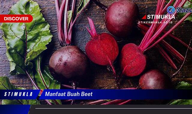 Ketahui 9 Manfaat Buah Beet untuk Kesehatan Tubuh Anda Ketahui 9 Manfaat Buah Beet untuk Kesehatan Tubuh Anda