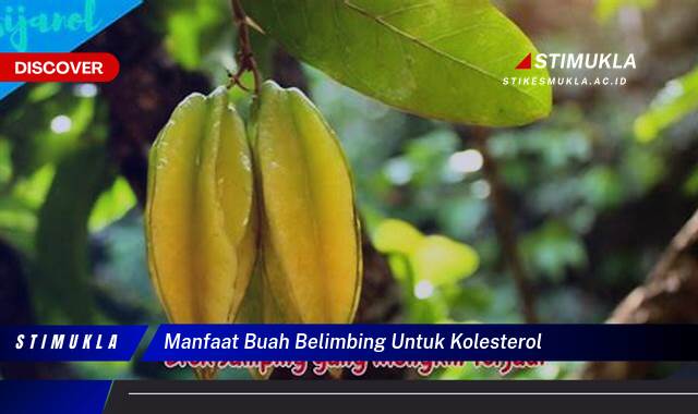 9 Manfaat Buah Belimbing untuk Kolesterol, Fakta & Bukti!