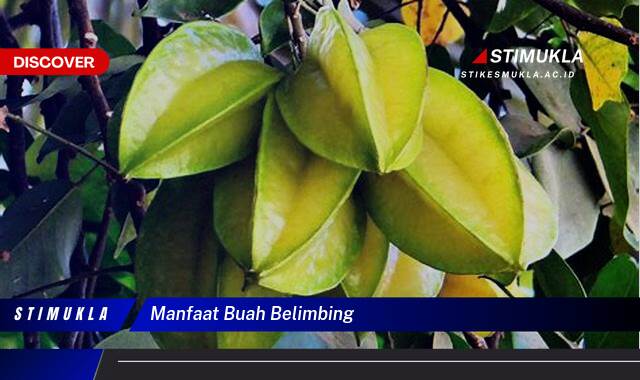 Ketahui 9 Manfaat Buah Belimbing untuk Kesehatan Tubuh Anda Ketahui 9 Manfaat Buah Belimbing untuk Kesehatan Tubuh Anda