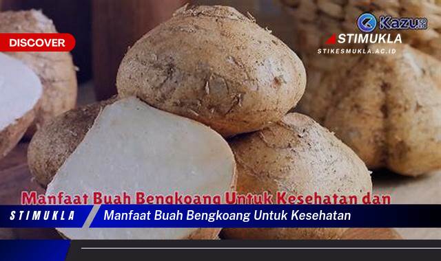 Temukan 8 Manfaat Buah Bengkoang untuk Kesehatan Kulit dan Pencernaan