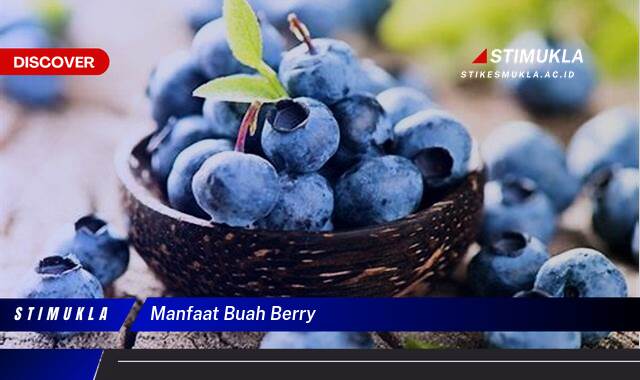 Ketahui 9 Manfaat Buah Berry untuk Kesehatan Tubuh Anda
