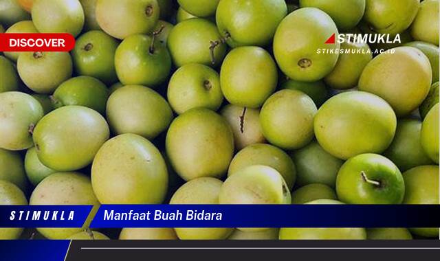 Ketahui 8 Manfaat Buah Bidara untuk Kesehatan, Kecantikan, dan Lainnya