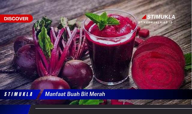 Ketahui 9 Manfaat Buah Bit Merah untuk Kesehatan Tubuh Anda Ketahui 9 Manfaat Buah Bit Merah untuk Kesehatan Tubuh Anda