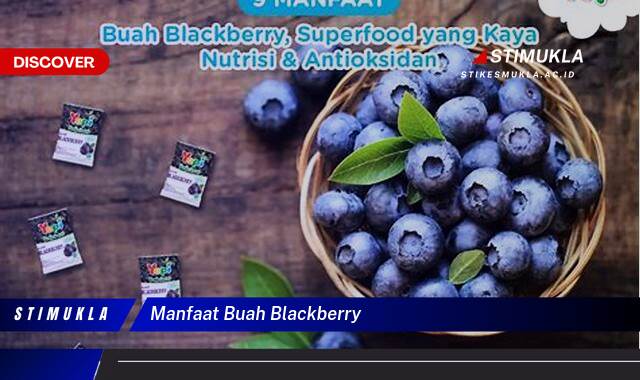 Ketahui 8 Manfaat Buah Blackberry untuk Kesehatan Tubuh Anda