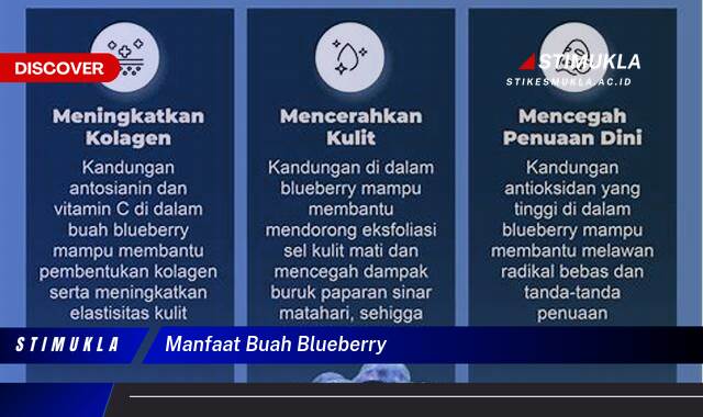 Ketahui 8 Manfaat Buah Blueberry untuk Kesehatan Tubuh Anda Ketahui 8 Manfaat Buah Blueberry untuk Kesehatan Tubuh Anda