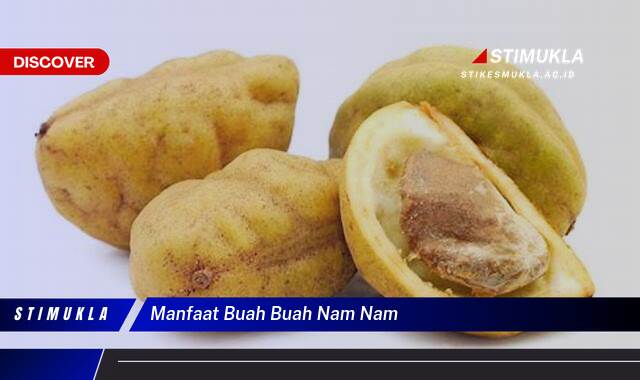 Ketahui 10 Manfaat Buah Nam Nam untuk Kesehatan Tubuh Anda